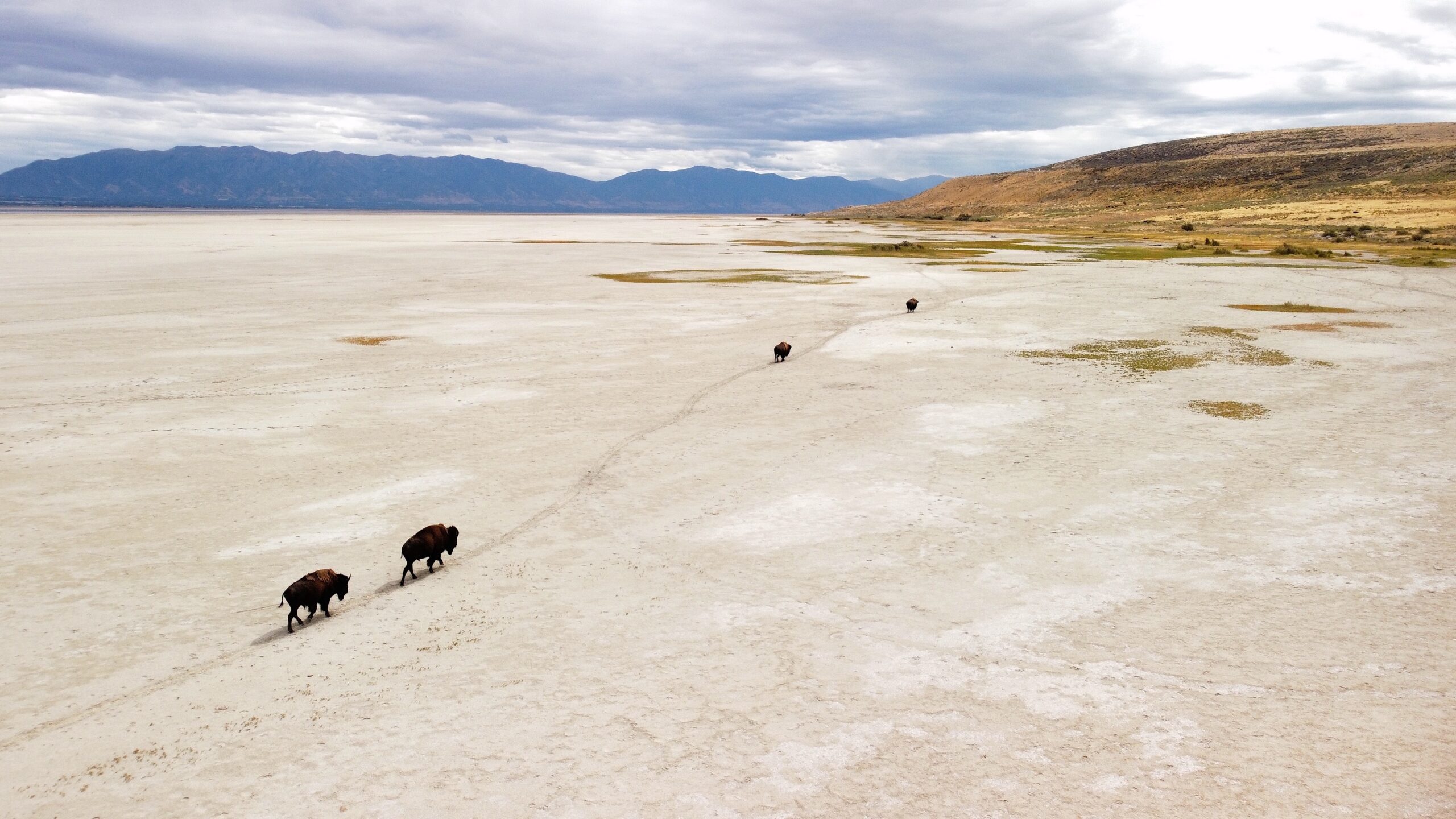 The Nice Salt Lake and Its Net of Life Face an Unsure Future